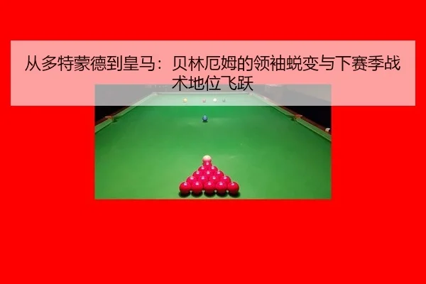 cong-duo-te-meng-de-dao-huang-ma-bei-lin-e-mu-de-ling-xiu-tui-bian-yu-xia-sai-ji-zhan-shu-di-wei-fei-yue-3-838.jpg